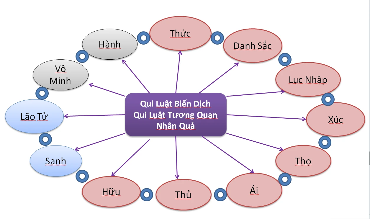 GIẢI THOÁT LÀ THẤY KHỔ VẮNG MẶT CỦA TỰ NGÃ
